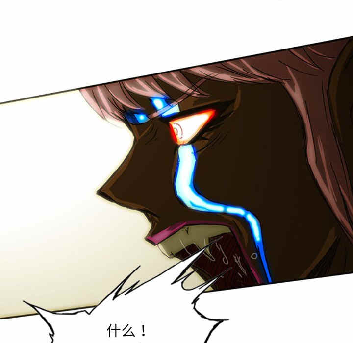 第205页