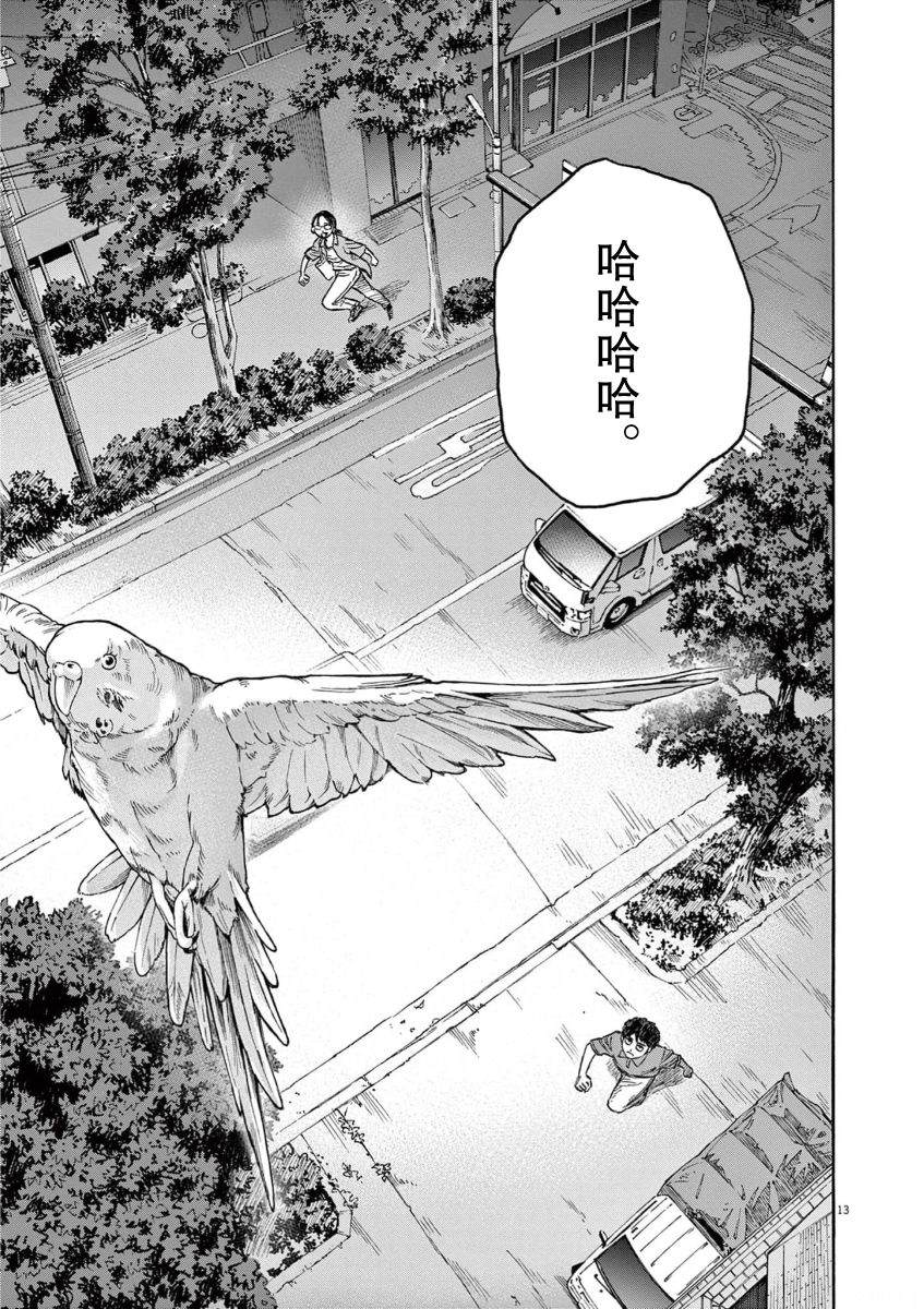 第13页