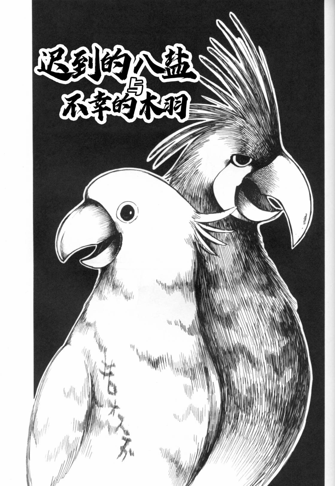 第45页
